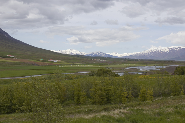 2011-07-01_14-27-18 island.jpg - Entlang der Hrga kurz vor Akureyri